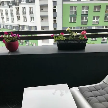 Hydrangea Apartment